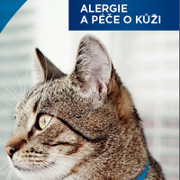 Informační karta pro klienty - kočka