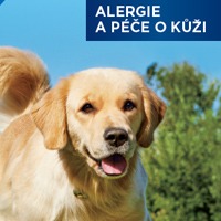 Informační karta pro klienty - pes