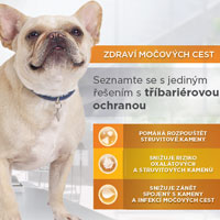 Canine – Odborný leták pro veterinární lékaře