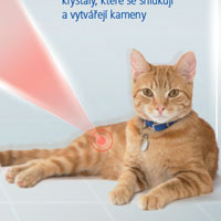 Feline – Informační karta pro klienty