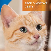 Péče o močové cesty – leták pro klienty