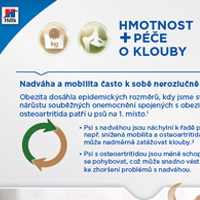 Stáhnout materiály