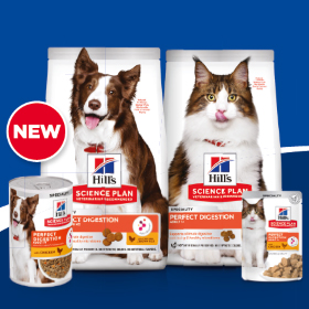 clinical evidence report thumbnail