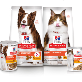 clinical evidence report thumbnail